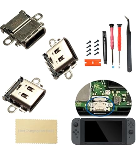 iParto 2 Pack Replacement Type C Port for Nintendo Switch